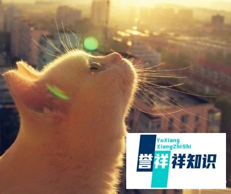 如何跳好“骑马舞”