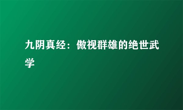 九阴真经：傲视群雄的绝世武学