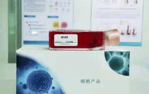 A549细胞培养的小技巧