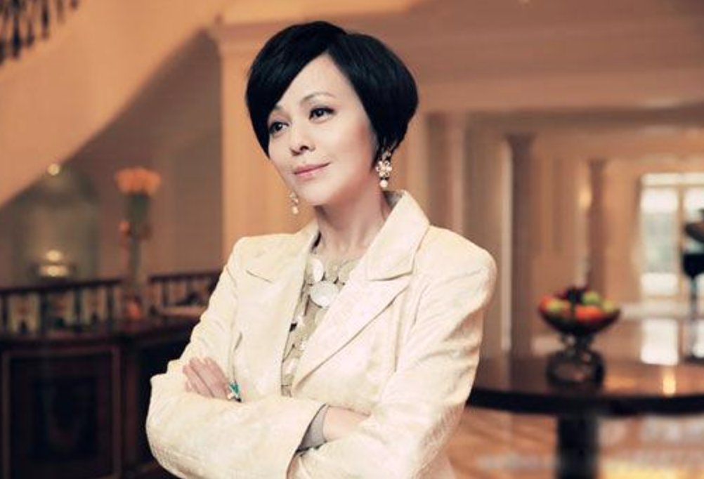 王琳上节目被批骗子,是为什么?