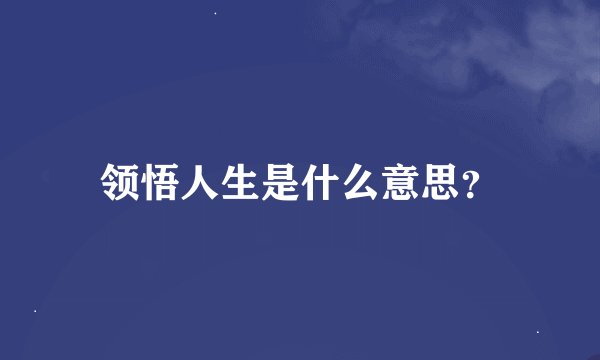 领悟人生是什么意思？