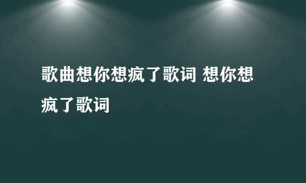 歌曲想你想疯了歌词 想你想疯了歌词