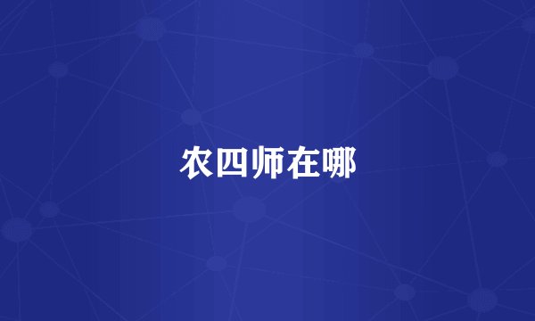 农四师在哪