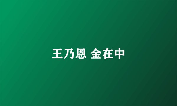 王乃恩 金在中