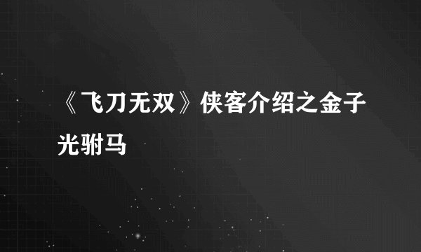 《飞刀无双》侠客介绍之金子光驸马