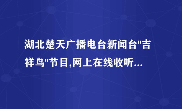 湖北楚天广播电台新闻台
