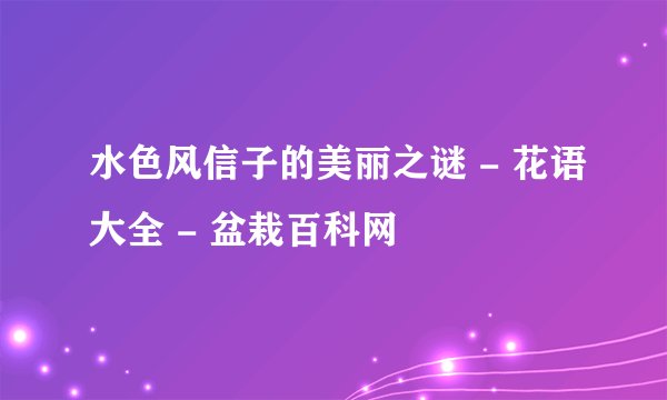 水色风信子的美丽之谜 - 花语大全 - 盆栽百科网