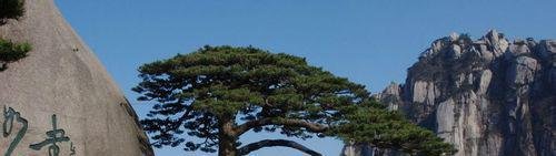 2013年黄山自助自驾旅游攻略