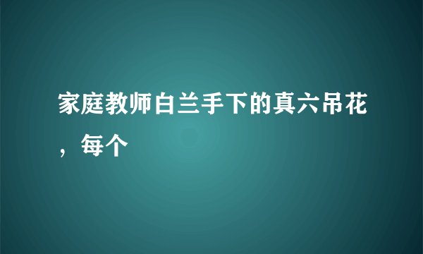 家庭教师白兰手下的真六吊花，每个