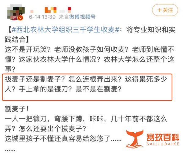 985高校3000多名大学生收小麦被指作秀,网友:你在教农大做事?