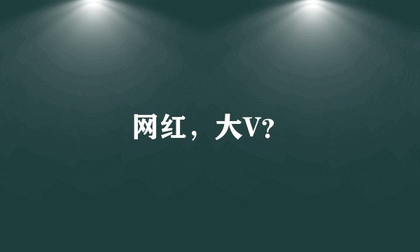 网红，大V？