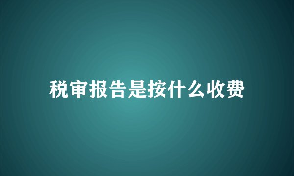 税审报告是按什么收费