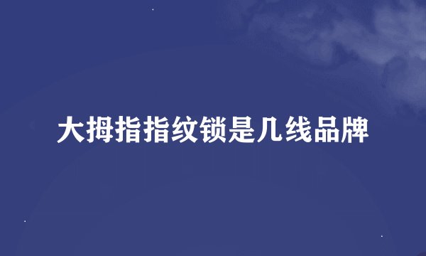 大拇指指纹锁是几线品牌