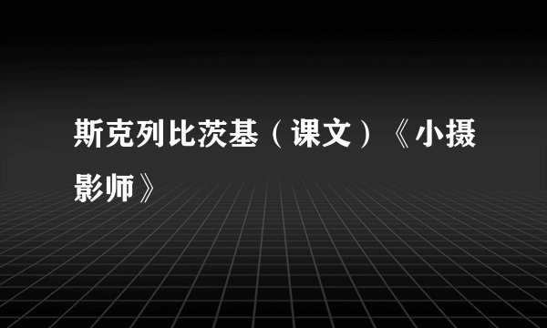 斯克列比茨基（课文）《小摄影师》