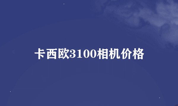 卡西欧3100相机价格