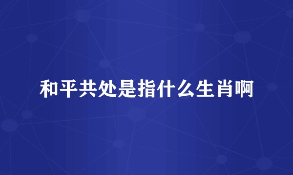 和平共处是指什么生肖啊