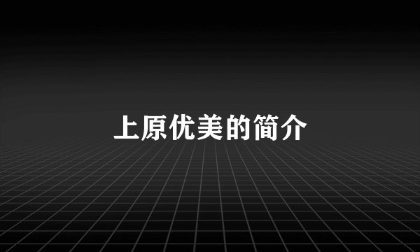 上原优美的简介