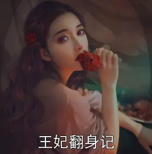 热宫娘娘写了哪些