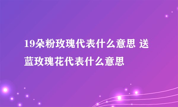 19朵粉玫瑰代表什么意思 送蓝玫瑰花代表什么意思