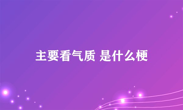 主要看气质 是什么梗