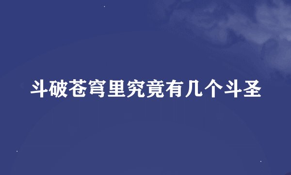 斗破苍穹里究竟有几个斗圣