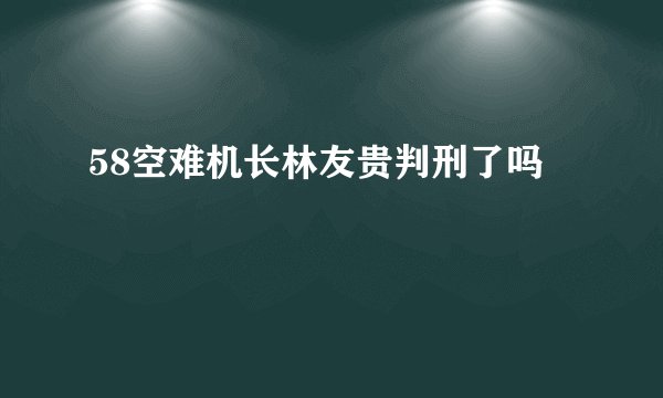 58空难机长林友贵判刑了吗
