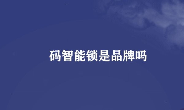 玥码智能锁是品牌吗