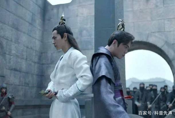 言冰云为什么捅范闲一刀