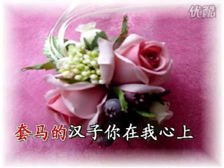 套马竿的解释