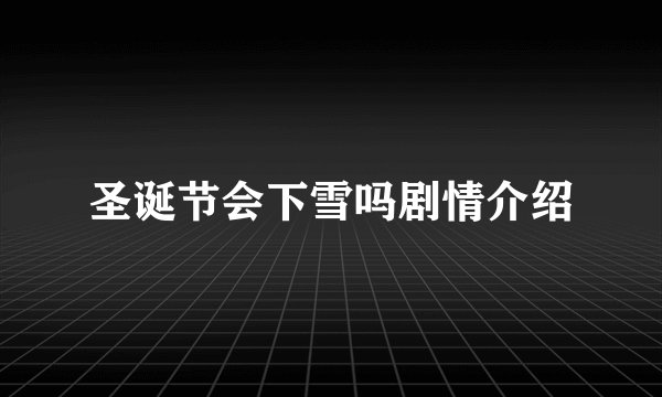 圣诞节会下雪吗剧情介绍