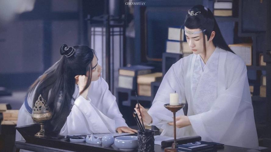 《陈情令》获第八届贵州省文艺奖，你如何评价这部剧？