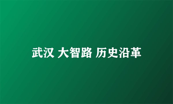 武汉 大智路 历史沿革