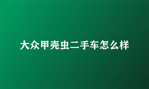 大众甲壳虫二手车怎么样