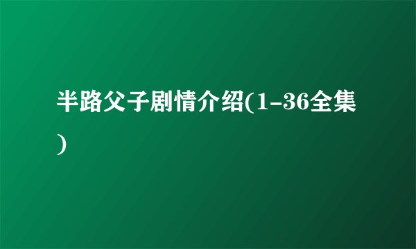 半路父子剧情介绍(1-36全集)