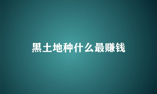 黑土地种什么最赚钱