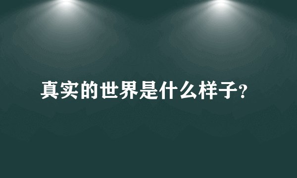 真实的世界是什么样子？