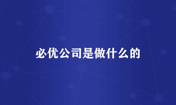 必优公司是做什么的