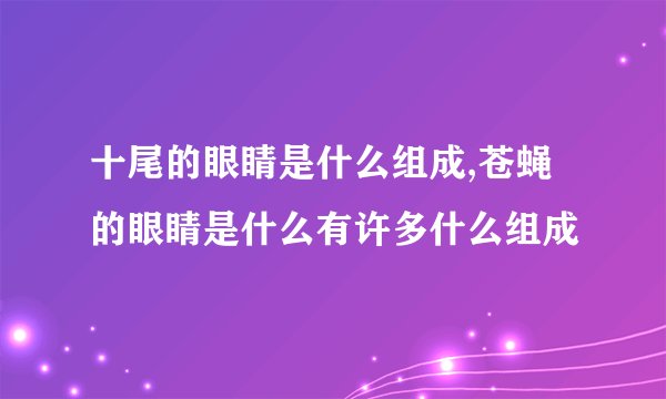十尾的眼睛是什么组成,苍蝇的眼睛是什么有许多什么组成