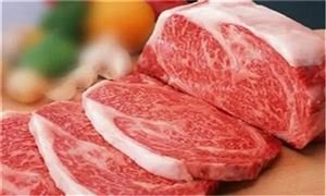 禁止英国30月龄以下剔骨牛肉进口,这是为了防止哪些疾病的流入?