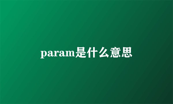 param是什么意思