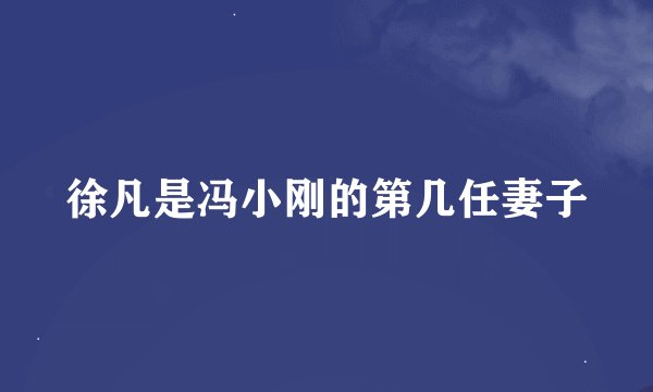 徐凡是冯小刚的第几任妻子