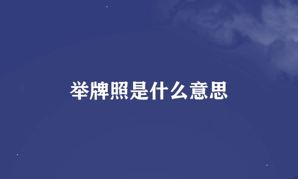 举牌照是什么意思