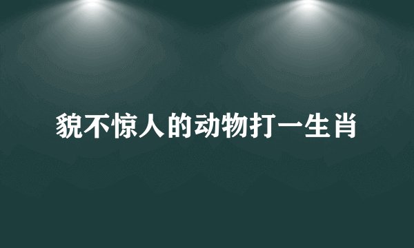 貌不惊人的动物打一生肖