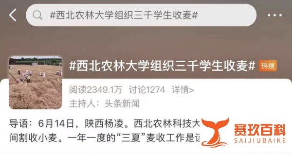 985高校3000多名大学生收小麦被指作秀,网友:你在教农大做事?