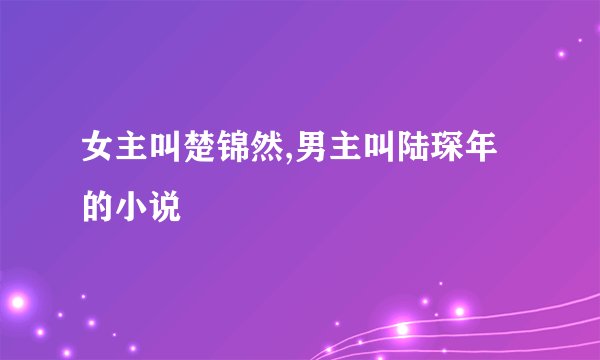 女主叫楚锦然,男主叫陆琛年的小说