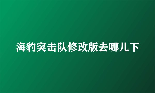 海豹突击队修改版去哪儿下