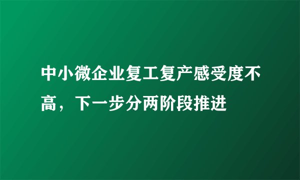 中小微企业复工复产感受度不高，下一步分两阶段推进
