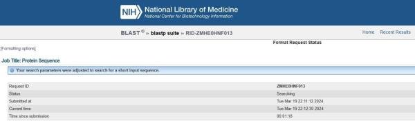 NCBI BLAST使用教程及BLASTP比对结果分析