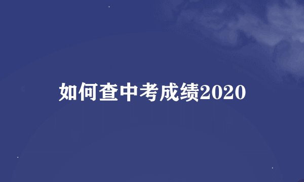 如何查中考成绩2020