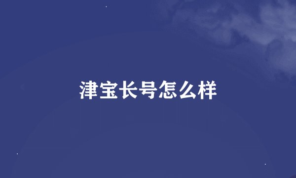 津宝长号怎么样